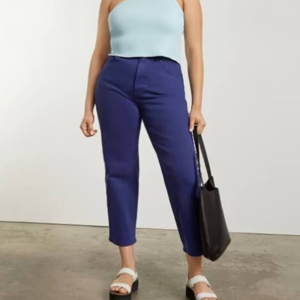 Everlane Way High Curvy Denim Jeans Size 30 Tall (29” inseam)
